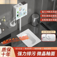 ブランドしゃがみトイレ水タンク浴室後列しゃがみトイレトイレしゃがみトイレ大型特大家庭用