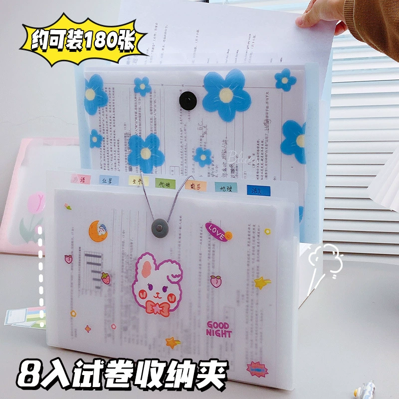 Capacious organ, multilayer bag for documents, storage system, folder for folders