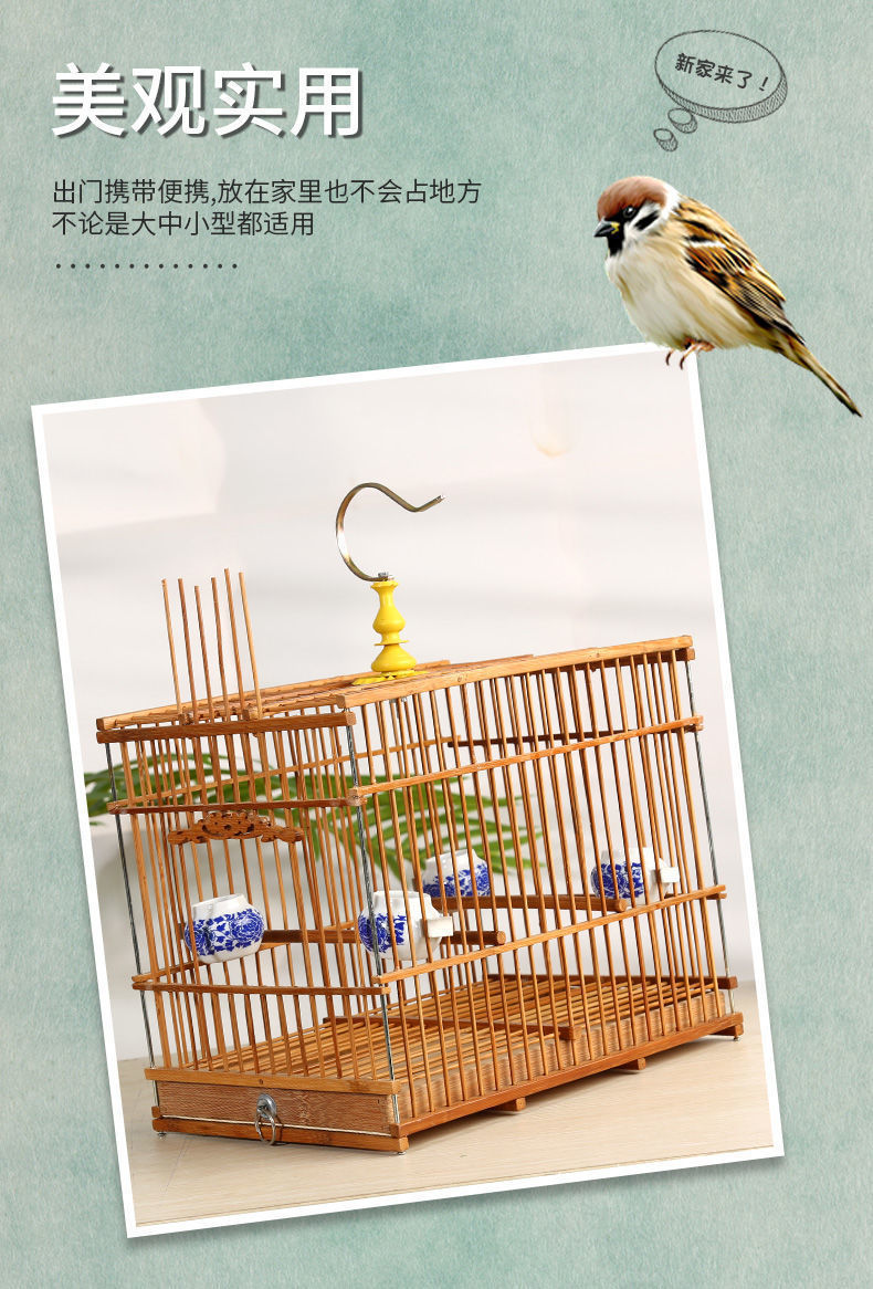 02e28650-bf78-41dd-9e35-2972e91d5995.jpe