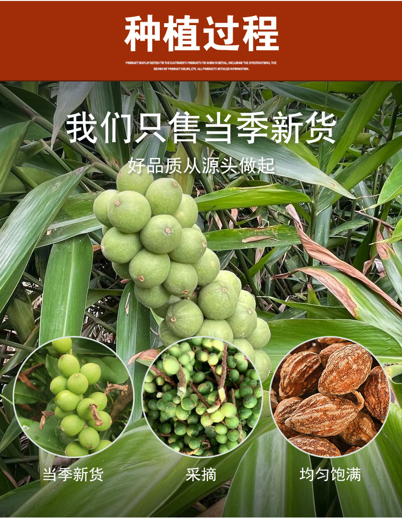 Yi Zhi Ren (Alpinia oxyphylla) — Dried Food-Herb Fruit for Tea, Soup & Spice Blends specifications
