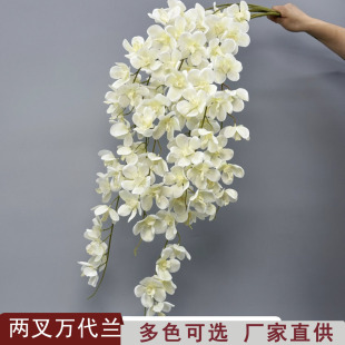 2��zӡ�f���m���l��Y��ˇ���ͺ����m��Y�����{��ɫϵ�bٻ�