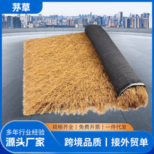 仿真茅草屋顶人造茅草防水加密别墅屋顶毛草农家乐户外装饰pe阻燃