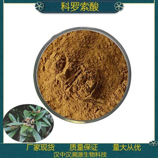 陕西汉溯源天然科罗索酸提取物植物原料固体饮料配料散装供应