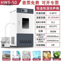 NҺlѿӟ᳽СͼôѿaؿƼ͸B̫