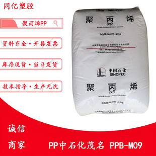 �߿��_PP��ʯ��ï��PPB-M09Ƕ�ι��������ɫ�۱�ϩ
