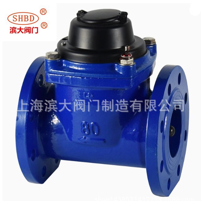 上海滨大阀门牌水表可拆干式水表LXLC可拆式水滨大阀门牌