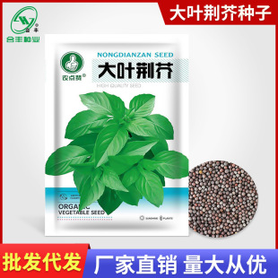 ���~�G��N�Ӻ��ϛ�����G��N��؈����Ұ�˷N���߲˷N�ӏS�����l