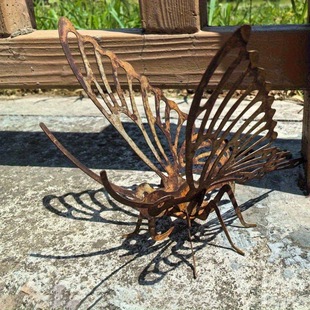 �羳���P�����b��ټ�Ӱ�����W���Fˇ�aƷ�Ҿӑ���ͥԺ�¹�ˇ�g