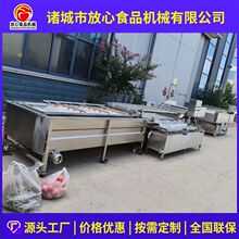 滤浮清洗机蔬菜水果去杂质洗菜机辣椒全自动喷淋清洗机