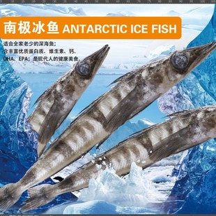 �F���������ʳ���ϘO���~ ��~�ϘO���~���ϘOʳ�r�~�� �Ƶ��