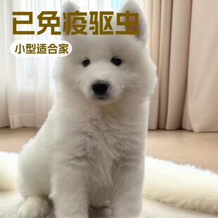 ���N�_ĦҮ��Ȯ�ܰ�΢Ц��ʹ�_ĦҮѩ��Ȯ��ɫ���B���w���ﹷ��