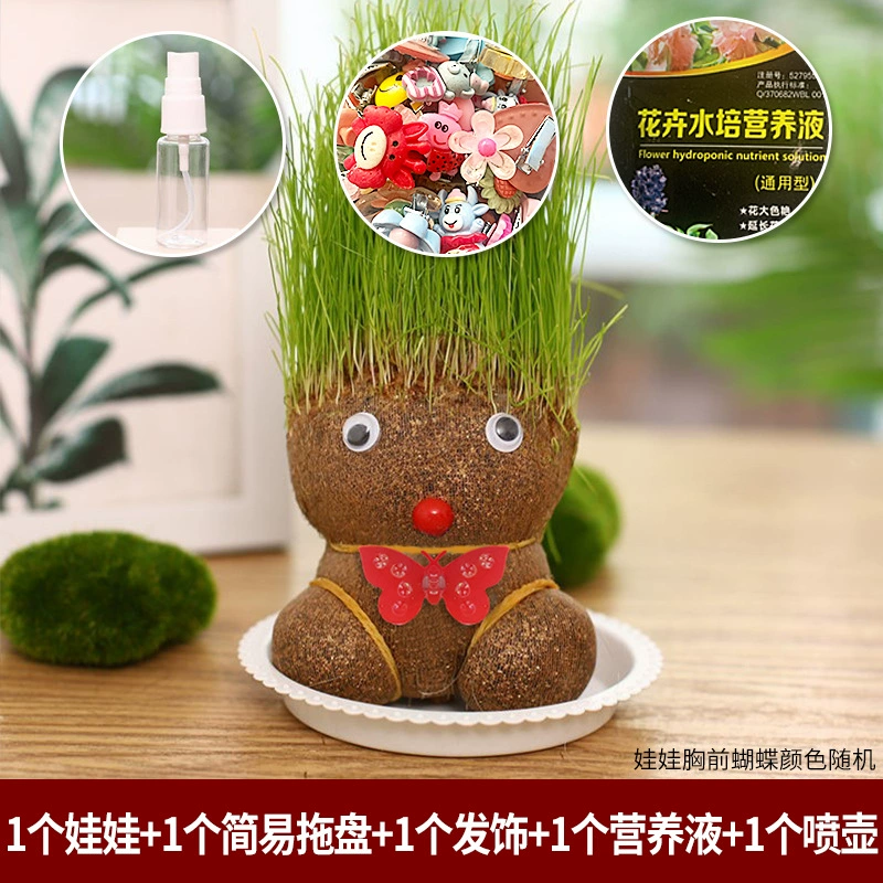 [批发草头娃娃浇水头上长草人绿植长头发儿童好养种草幼儿园桌面小]