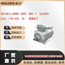 YB3-450-2 1000KW  6000V  50HZ  BT4   IC411  ��ѹ�������