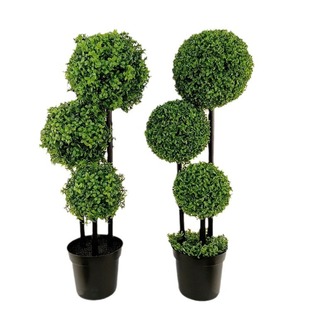 �S��ֱ�N���l�������ֲ���b�����羳�A���辰���U�������;Gֲ