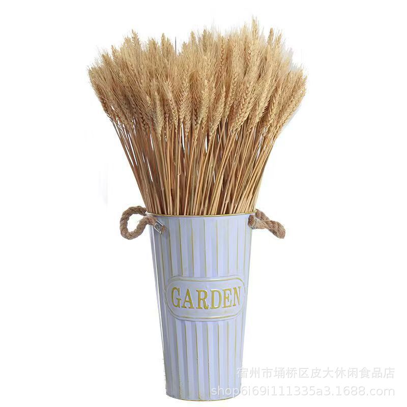 오리지널 컬러 밀 이삭 100개 묶음