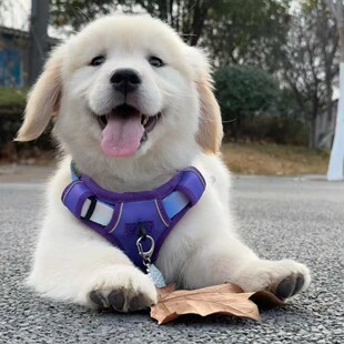 ���N��ë��Ȯ���w������Ȯ��ëȮ��äȮ��Ǽܽ�ë��Ȯ���B����Ȯ