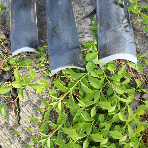 Agricultural tools Hongbin hoe household manganese steel 6 7 8 10 minute wide hoe digging bamboo shoots outdoor old-fashioned hoe