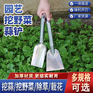 Stainless Steel Gardening Shovel for Planting Flowers, Special Garden Shovel for Growing Vegetables and Wild Vegetables, Weeding, Agricultural Digging, Outdoor