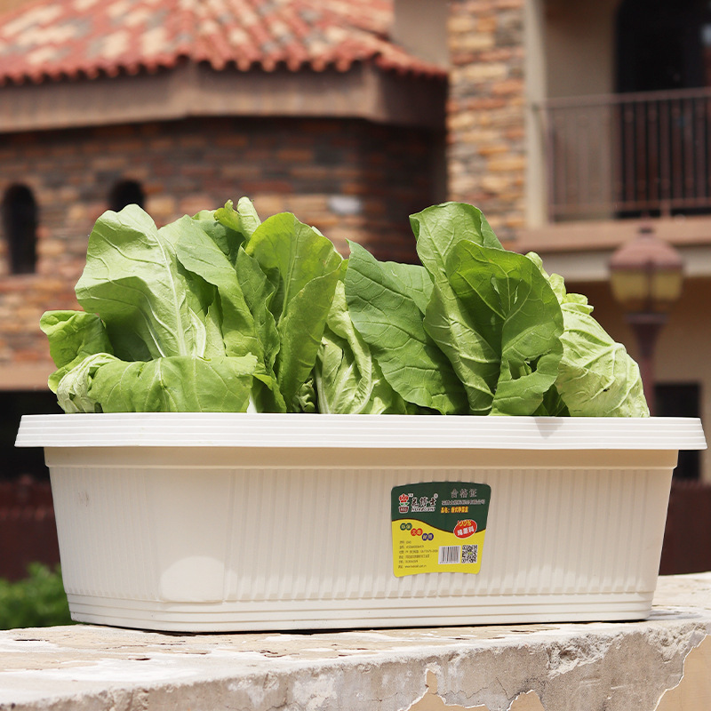 Household Plastic Rectangular Vegetable Pot Balcony Courtyard Vegetable Planting Pot Long Flower Pot Seedling Pot Deep Wholesale Household Plastic Rectangular Vegetable Pot Balcony Courtyard Vegetable Planting Pot Long Flower Pot Seedling Pot Deep Wholesale
