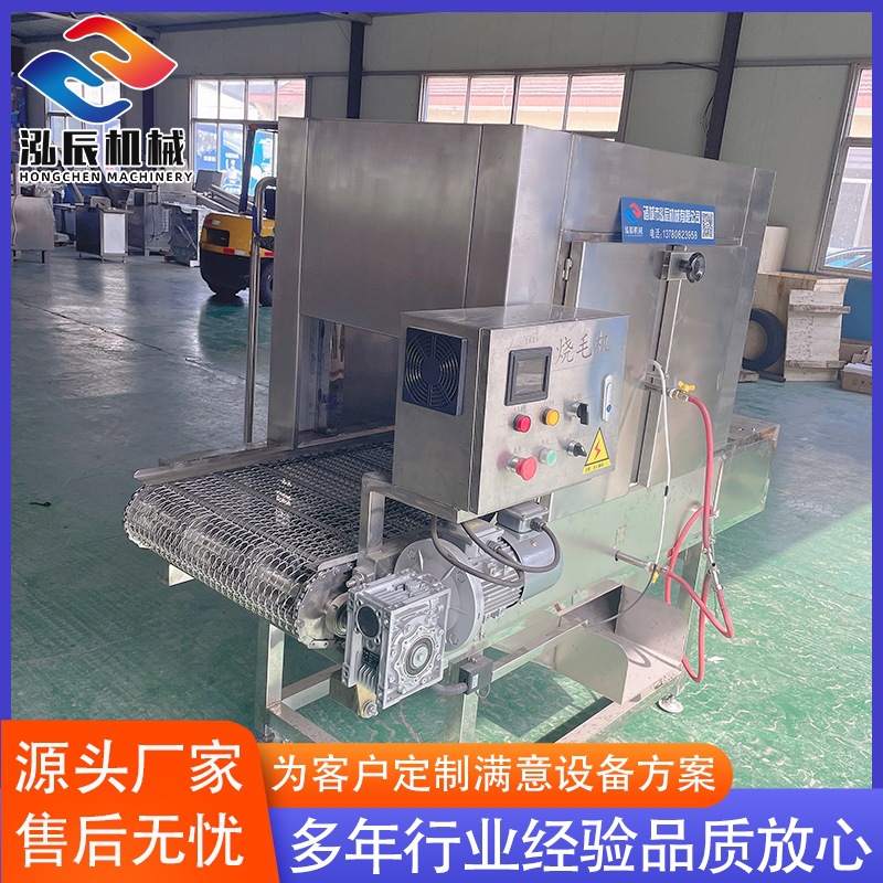 猪肘子连续喷火烧毛机  供应猪脚烧毛机设备 牛蹄羊蹄燎毛机