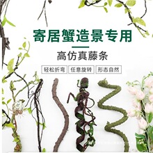 �ľ�з���������ٗl�������쾰���������^�����ɏ����b���