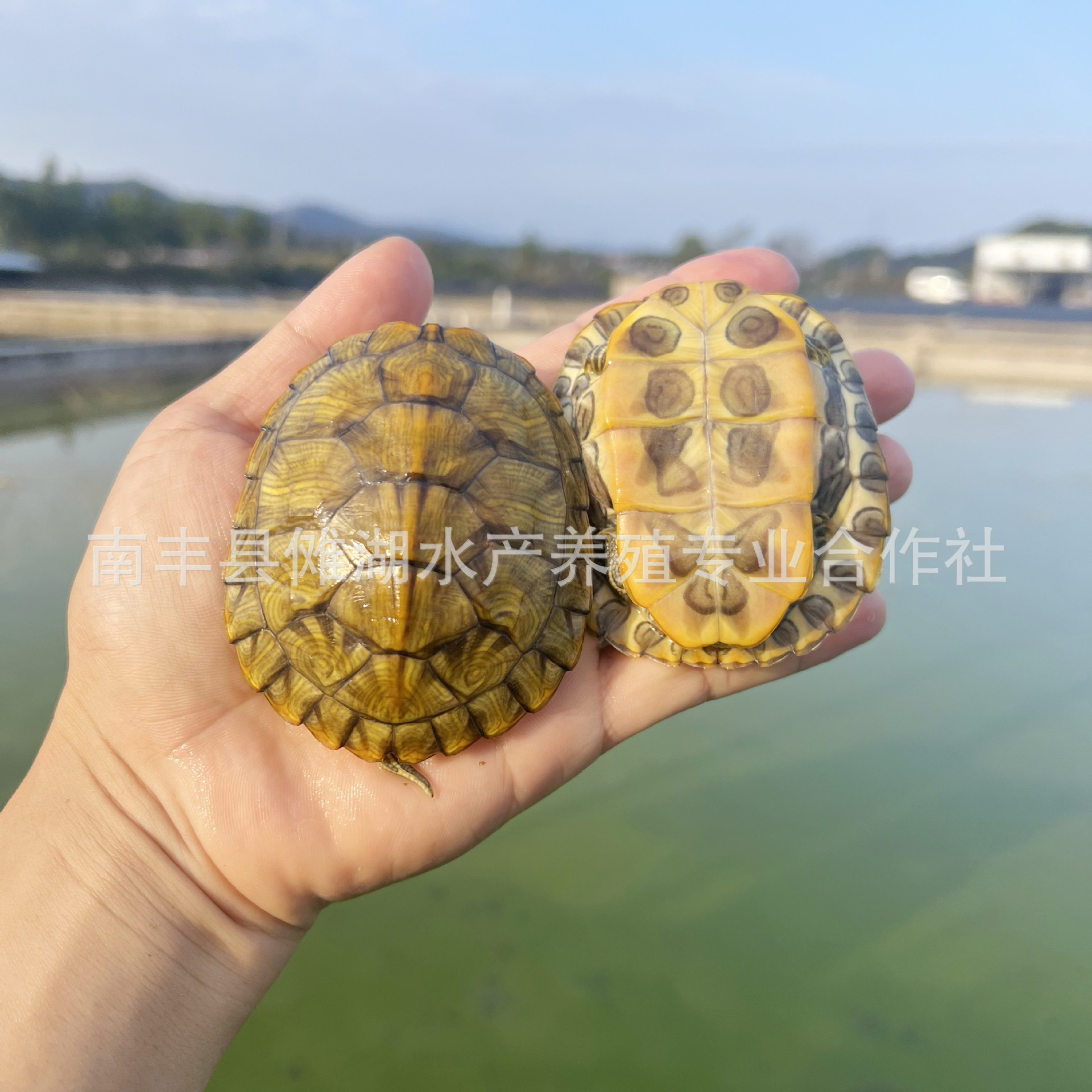 微信图片_20221121165457_副本