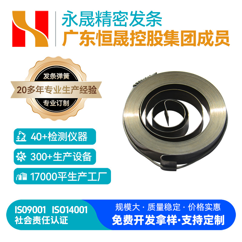 钟表定时器发条定制不锈钢发条弹簧批发厂家直销免费供样