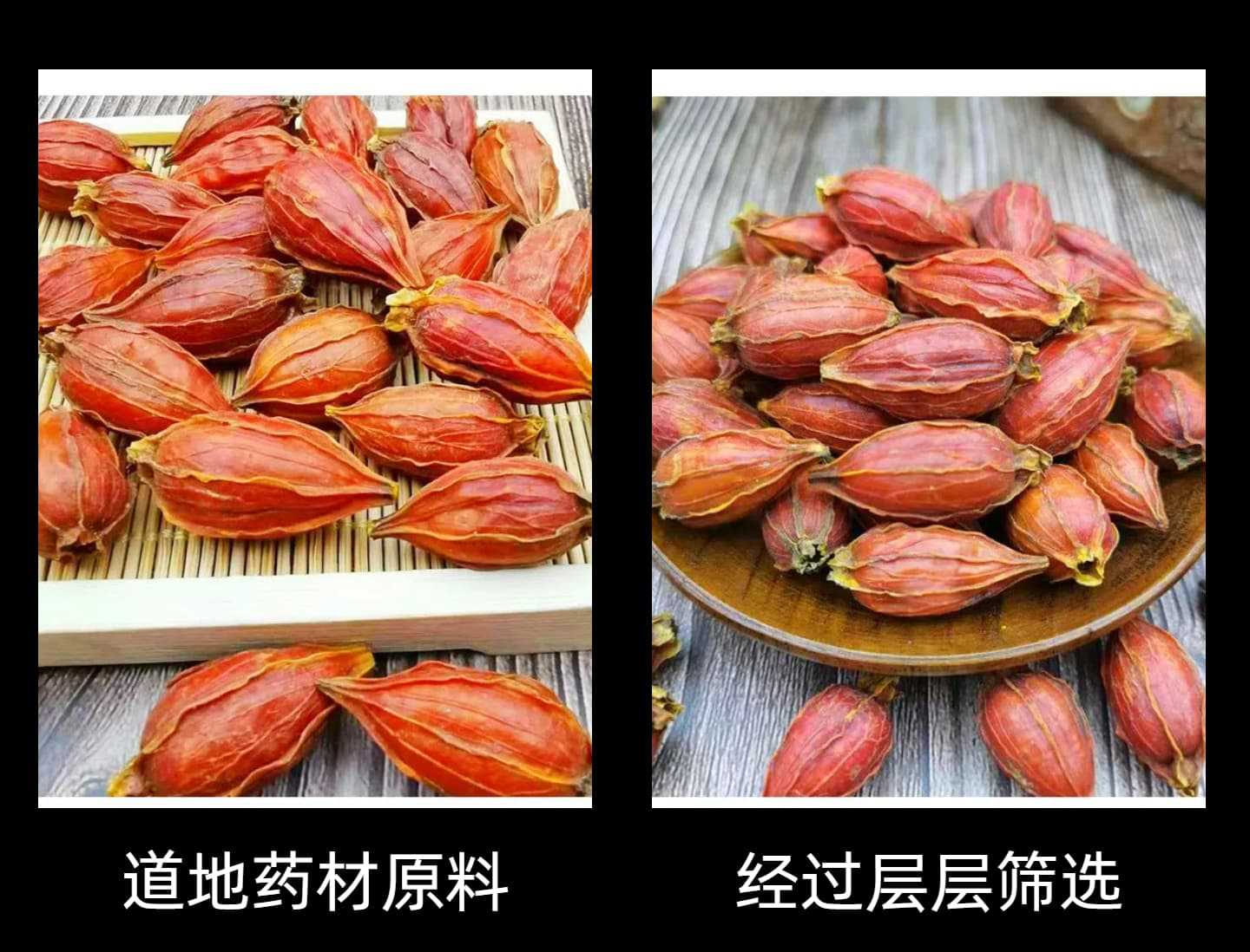 Gardenia Fruit Zhi Zi 50g Dried Jiangxi Herb for Traditional Decoctions and Teas quality and texture