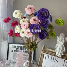 �������4ͷǧ��ĵ���� 4ͷ��ҩ¶�����Ƶ�Ҿ�װ�β��÷��滨