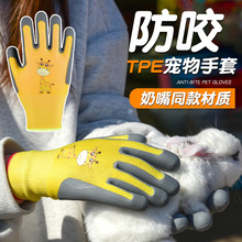 TPE��ͯ���� �W���@ˇ�������o��ĥ���� С������}�������ҧ��