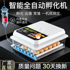 外国貿易卸売ひよこインキュベーター全自動小型家庭用インキュベーターインテリジェントインキュベーター卵インキュベーター