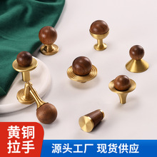 ��ľ�S�~�οי��TС���ֈA�����ľ����ֱ��й��L�����~��ɫ����