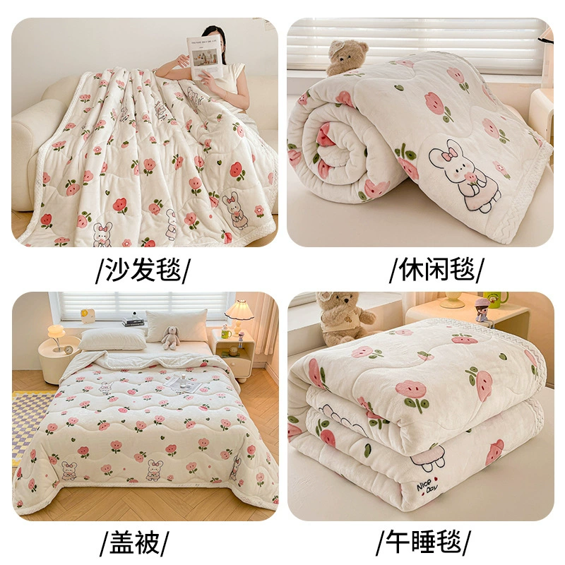 Winter duvet, coral comfortable sofa for sleep, increased thickness