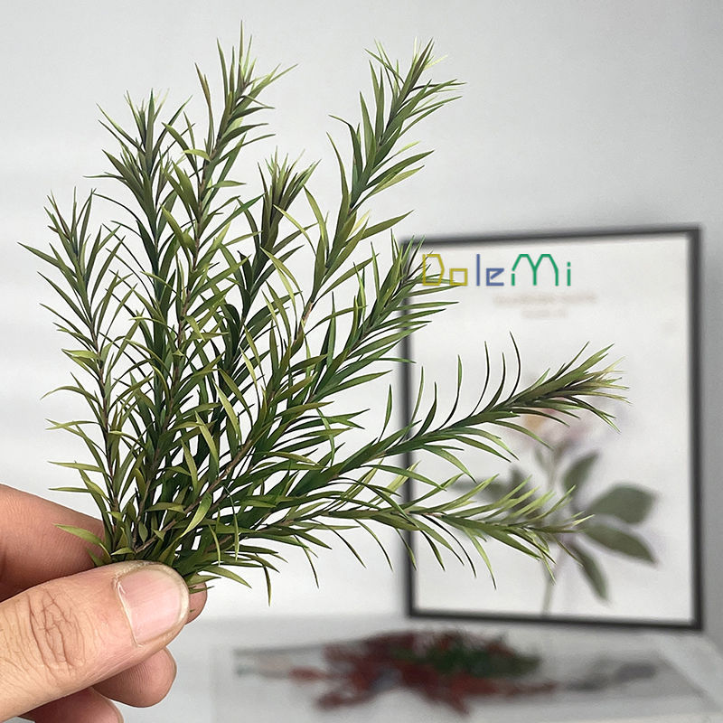 Melaleuca gold diy dried flower plant wall matching small leaf eucalyptus green plant decorative ornaments Yunnan apple leaf