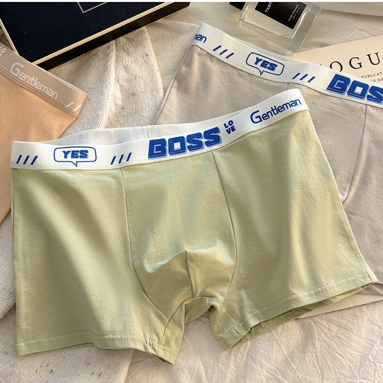 [Independent Package] Teenage Men's Pure Cotton Boxer Briefs Men's Fashion Development Junior High School Boys' Boxer Shorts