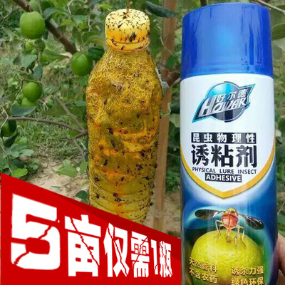 瓜果实蝇针蜂诱乳胶粘剂昆虫诱捕杀果蝇针蜂药引诱剂果园器