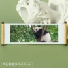 Panda 143