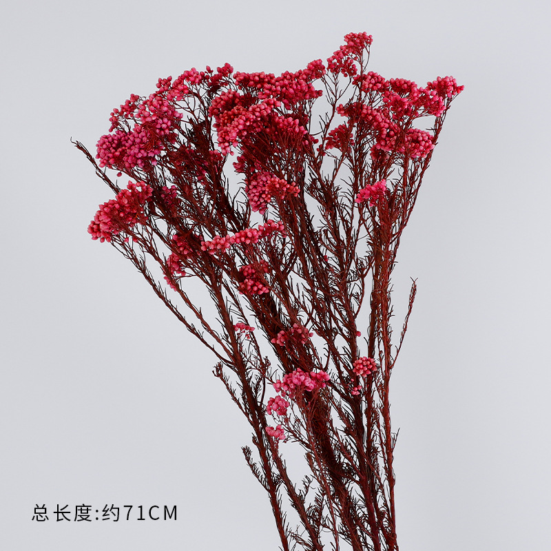 Red red inmortalidad serie de flores secas de hierba de hortenida decoración hecha a mano DIY materiales de floristería lote