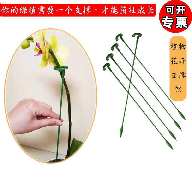 多肉蝴蝶兰花架支架植物盆栽花卉造型支撑杆固定防倒伏护叶架绿植