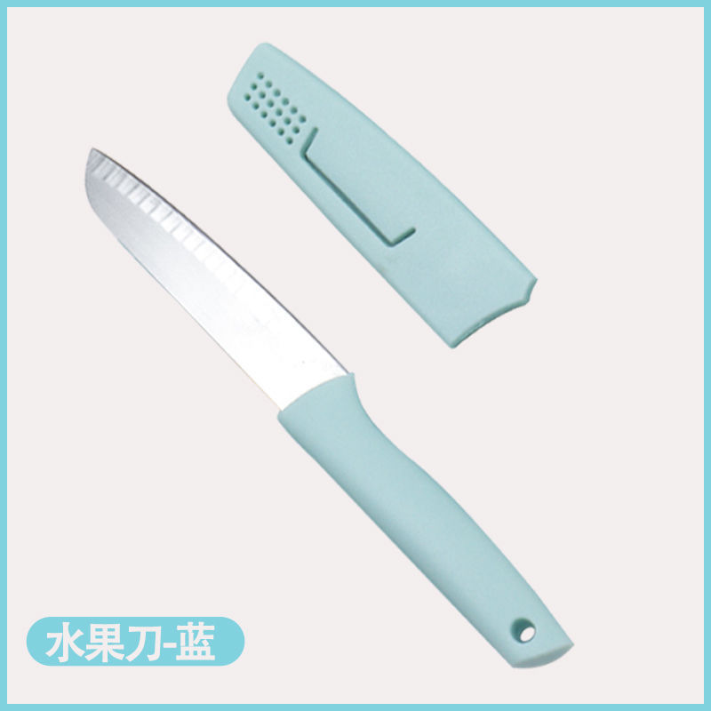 베어 블루-과일 칼-칼 커버 포함