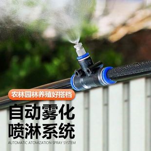 ���؇��������m���m�O��S��܇�g���F���r�����F�����^����ϵ�y