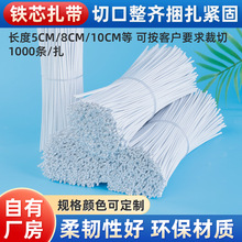 圆形镀锌铁丝0.55MM包胶铁线扎线捆扎带铁芯扎带双面扁平扎带