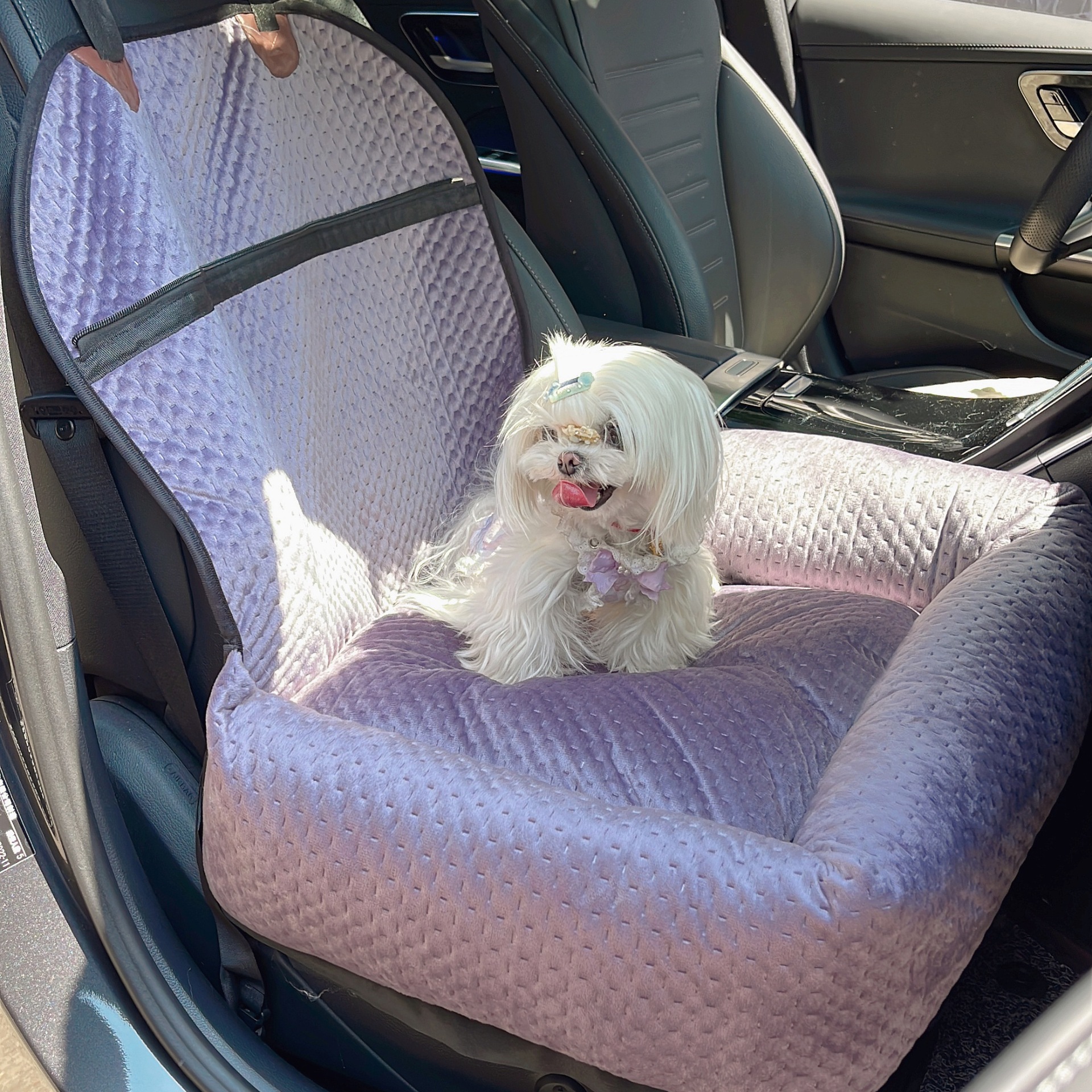 Cojín para mascotas de coche de felpa de invierno, antideslizante, grueso, gato y perro, cojín para silla de coche, color sólido, cómodo cojín para perrera