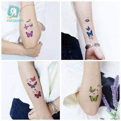 瑞卡龍新款跨境網紅彩色蝴蝶紋身貼 防水兒童卡通蝴蝶貼紙 tattoo
