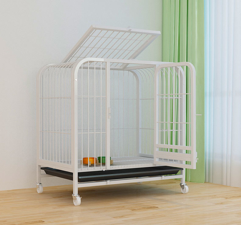 c77ae056-171d-4368-aeda-ecf1ac229bcf.jpe