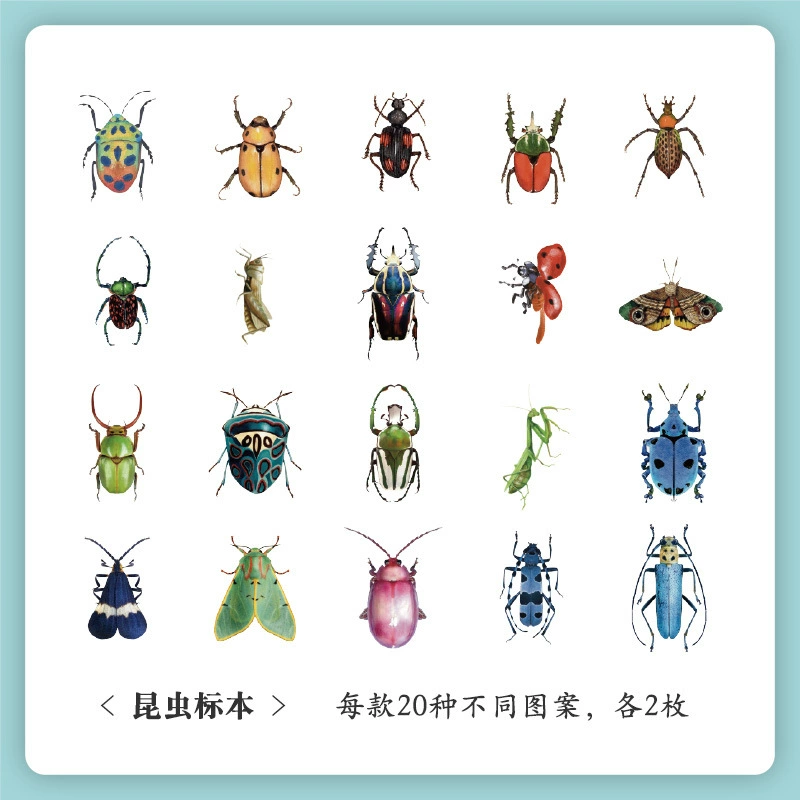 Sticker Set, 40-Sheet Assortment, Butterfly & Floral Designs for Kids' Bags and Planners