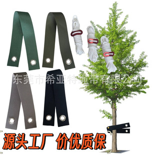 ���S�羳���N���L���������̶��� ��ľ���L������  �u�۴�׿���