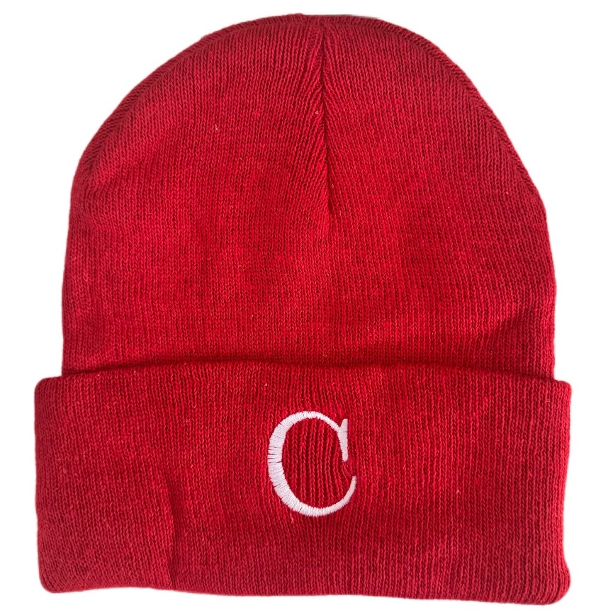 Gorro de Punto Bordado de Poliéster, Térmico y Cortavientos, para Otoño e Invierno