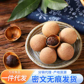 莆田桂圆干大果新货批发500g 福建特产龙眼泡水煲汤桂圆龙眼干