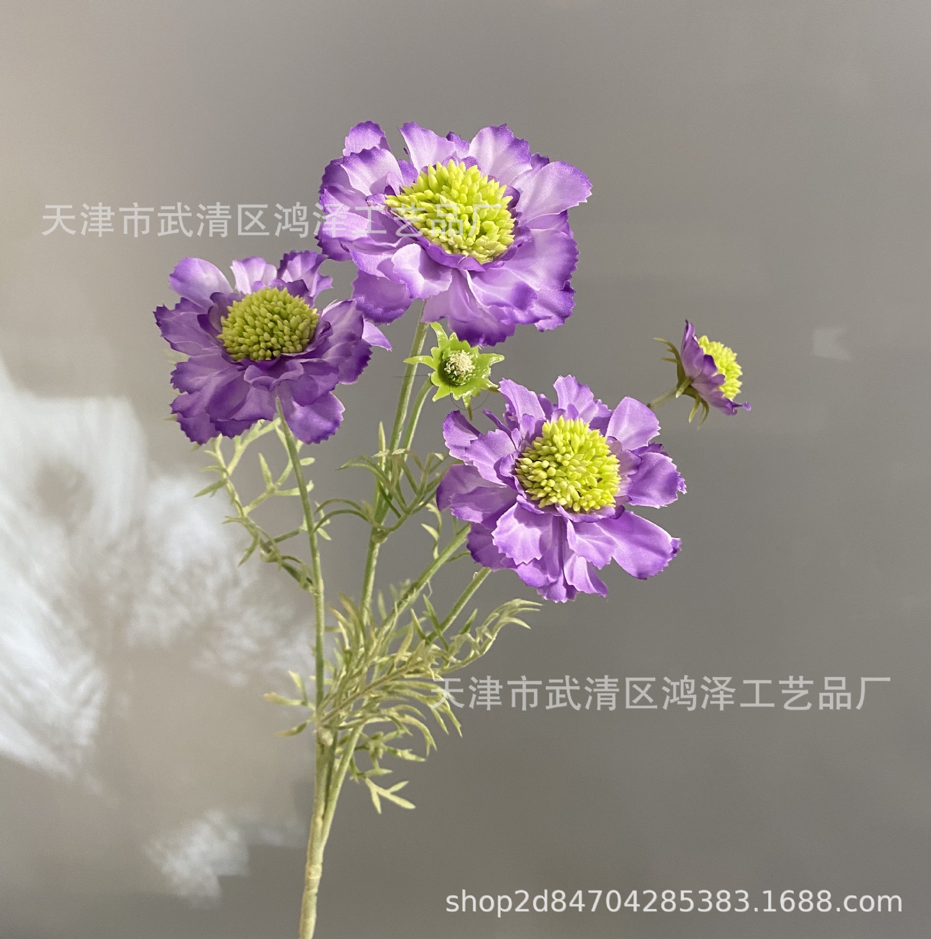 보라색